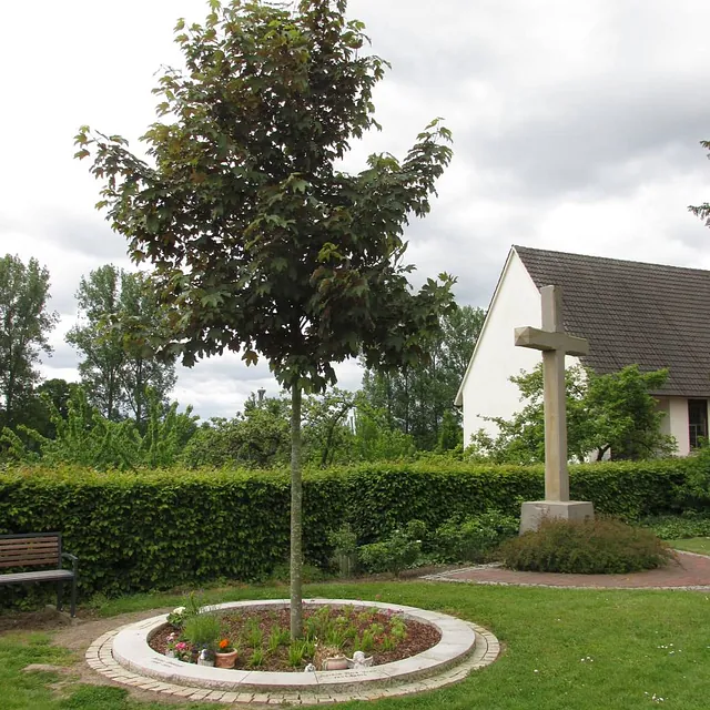 Partnerbaumgrab auf dem Friedhof